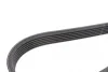 Комплект ременя генератора BMW 3 (F30/F80) 1.5/2.0 B38/B46/B48 15-18 Contitech 6PK1165K1 (фото 3)