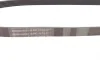 Ремень генератора Citroen Jumper/Fiat Ducato 2.0/2.2HDi/JTD 02- Contitech 6PK1173 (фото 2)