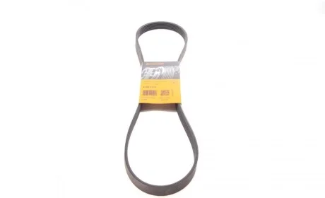 Ремінь генератора Citroen Jumper/Fiat Ducato 2.0/2.2HDi/JTD 02- Contitech 6PK1173