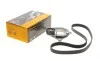 Комплект ремня генератора BMW 1 (F40)/2 (F44)/X1 (F48)/X2 (F39) 1.5/2.0 B38/B48 17- Contitech 6PK1173K1 (фото 1)