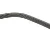 Комплект ремня генератора BMW 1 (F40)/2 (F44)/X1 (F48)/X2 (F39) 1.5/2.0 B38/B48 17- Contitech 6PK1173K1 (фото 2)