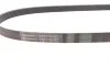 Ремінь генератора Citroen Jumper 2.0-2.2HDi 02-06/C4/C5/C8 2.0 16V 01-/VW T5/T6 2.0TSI 12-19 Contitech 6PK1185 (фото 2)