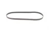 Ремінь генератора Citroen Jumper 2.0-2.2HDi 02-06/C4/C5/C8 2.0 16V 01-/VW T5/T6 2.0TSI 12-19 Contitech 6PK1185 (фото 4)