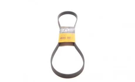 Ремень генератора Citroen Jumper 2.0-2.2HDi 02-06/C4/C5/C8 2.0 16V 01-/VW T5/T6 2.0TSI 12-19 Contitech 6PK1185