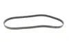 Ремінь генератора Renault Kangoo 1.9D 97-/Mazda 3/6/CX-5 2.2D 12-/Fiat Scudo 2.0 00-06 Contitech 6PK1190 (фото 4)