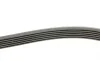 Ремень генератора Renault Laguna 2.0 95-01/Audi A3 3.2 03-09/Ford Kuga 2.0TDCi 13- Contitech 6PK1240 (фото 2)