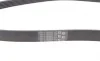 Ремень генератора Ford Focus 1.8/2.0 04-12 Contitech 6PK1240ELAST (фото 2)