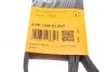 Ремень генератора Ford Focus 1.8/2.0 04-12 Contitech 6PK1240ELAST (фото 6)