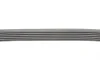 Ремінь генератора Ford Focus 1.8/2.0 04-12 (6PK1249) Contitech 6PK1249 ELAST (фото 2)