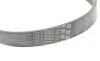 Ремінь генератора Ford Focus 1.8/2.0 04-12 (6PK1249) Contitech 6PK1249 ELAST (фото 3)
