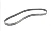 Ремінь генератора Ford Focus 1.8/2.0 04-12 (6PK1249) Contitech 6PK1249 ELAST (фото 5)