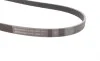 Ремінь генератора Opel Combo/Astra 1.7DTI/CDTI 01-/Ford Focus/Fiesta 1.0 18-/Toyota Venza 2.7 08-16 Contitech 6PK1250 (фото 2)