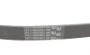 Ремінь генератора VW T5/Golf 2.3-3.2 V6 03-09/Audi A4/A6/Q5 2.0TDI 08-17 Contitech 6PK1264 (фото 3)