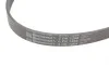 Ремінь генератора VW T5/Golf 2.3-3.2 V6 03-09/Audi A4/A6/Q5 2.0TDI 08-17 Contitech 6PK1264 (фото 4)