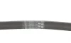 Ремінь генератора Ford Focus/Mondeo 2.0TDCi 14-/Fiat Bravo/Stilo 1.8/1.9D 07- Contitech 6PK1270 (фото 3)