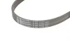 Ремінь генератора Ford Focus/Mondeo 2.0TDCi 14-/Fiat Bravo/Stilo 1.8/1.9D 07- Contitech 6PK1270 (фото 4)