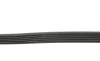 Ремень генератора Ford Focus/Mazda 3/5/Volvo S40/V50/C30 1.8/2.0 03- Contitech 6PK1306 (фото 2)