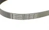 Ремень генератора Ford Focus/Mazda 3/5/Volvo S40/V50/C30 1.8/2.0 03- Contitech 6PK1306 (фото 4)