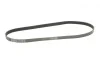 Ремень генератора Ford Focus/Mazda 3/5/Volvo S40/V50/C30 1.8/2.0 03- Contitech 6PK1306 (фото 5)
