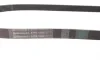 Ремень генератора Fiat Scudo 1.6D Multijet 07-/Ford Focus 1.8CDTi 04-12/Opel Corsa D/E 1.3CDTi 06- Contitech 6PK1360 (фото 2)