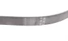 Ремень генератора Opel Zafira/Astra H 1.9 CDTI 04-15/Chevrolet Aveo 1.4 11- Contitech 6PK1380 (фото 2)