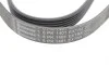 Ремінь генератора Land Rover Defender/Range Rover 3.0 Hybrid 19- Contitech 6PK1401 EXTRA (фото 3)