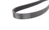 Ремінь генератора Ford Transit Connect 02-13/Focus 99-05/Toyota Avensis 03-12/Corolla 01-07/Renault Contitech 6PK1420 (фото 3)