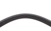 Ремінь генератора Ford Transit Connect 02-13/Focus 99-05/Toyota Avensis 03-12/Corolla 01-07/Renault Contitech 6PK1420 (фото 4)