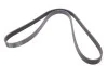 Ремінь генератора Ford Transit Connect 02-13/Focus 99-05/Toyota Avensis 03-12/Corolla 01-07/Renault Contitech 6PK1420 (фото 5)