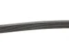 Ремінь генератора Citroen Berlingo/Jumpy/Fiat Scudo/Peugeot Partner 1.9D 98-/Hyundai Accent 02-05 Contitech 6PK1440 (фото 2)