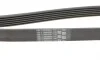 Ремінь генератора Citroen Berlingo/Jumpy/Fiat Scudo/Peugeot Partner 1.9D 98-/Hyundai Accent 02-05 Contitech 6PK1440 (фото 3)