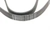 Ремінь генератора Citroen Berlingo/Jumpy/Fiat Scudo/Peugeot Partner 1.9D 98-/Hyundai Accent 02-05 Contitech 6PK1440 (фото 4)