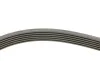 Комплект ремня генератора Citroen Berlingo/Jumpy/Fiat Scudo/Peugeot Partner/306/Expert 1.9D 98-15 Contitech 6PK1440K1 (фото 2)
