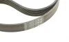 Комплект ремня генератора Citroen Berlingo/Jumpy/Fiat Scudo/Peugeot Partner/306/Expert 1.9D 98-15 Contitech 6PK1440K1 (фото 3)