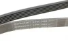 Ремінь генератора Ford Fiesta/Ka 1.3i 95-08 Contitech 6PK1448 (фото 4)