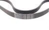 Ремінь генератора Peugeot 206/Partner/Citroen Berlingo 1.1-1.6 02-/VW Fox/Polo 1.2 02-14 Contitech 6PK1453 (фото 3)