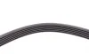 Ремінь генератора Peugeot 206/Partner/Citroen Berlingo 1.1-1.6 02-/VW Fox/Polo 1.2 02-14 Contitech 6PK1453 (фото 4)