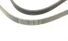 Ремень генератора Citroen Xantia 3.0 V6 97-03/Mitsubishi L200 2.5 DI-D 05-15 Contitech 6PK1495 (фото 4)