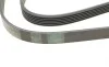 Ремень генератора BMW 3 (E36) 3.0/3.2 94-99/Mitsubishi Pajero Sport 2.5 DI-D 4WD 08- Contitech 6PK1515 (фото 3)