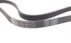 Ремень генератора Ford Focus 1.8 TDCi 05-12/Skoda Octavia/VW Lupo/Seat Arosa 1.4 i 99-01 Contitech 6PK1520 (фото 2)