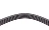Ремень генератора Ford Focus 1.8 TDCi 05-12/Skoda Octavia/VW Lupo/Seat Arosa 1.4 i 99-01 Contitech 6PK1520 (фото 3)