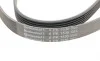 Ремінь генератора Opel Astra F/Corsa B/Vectra B 1.4-1.8 94-03/Ford Escort/Fiesta 1.6/1.8 92-95 Contitech 6PK1530 (фото 4)