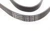 Ремінь генератора VW Golf 1.6FSI 02-06/BMW 3 (E46)/5 (E39/E60) 2.0-3.0 97-10/Ford Focus/Kuga 1.5 14- Contitech 6PK1538 (фото 2)