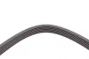 Ремінь генератора VW Golf 1.6FSI 02-06/BMW 3 (E46)/5 (E39/E60) 2.0-3.0 97-10/Ford Focus/Kuga 1.5 14- Contitech 6PK1538 (фото 4)