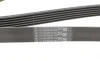 Ремень генератора VW T5/Amarok 2.0TDI 09-/Ford Focus/Kuga/Galaxy 98-/Opel Astra J/Insignia A 1.6 08- Contitech 6PK1555 (фото 3)