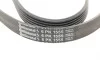 Ремень генератора VW T5/Amarok 2.0TDI 09-/Ford Focus/Kuga/Galaxy 98-/Opel Astra J/Insignia A 1.6 08- Contitech 6PK1555 (фото 4)