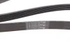Ремень генератора Citroen Berlingo 1.6 00-08/ Nemo 1.4i 08- Contitech 6PK1560 (фото 3)