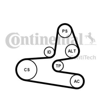 Комплект доріжкових пасків Contitech 6PK1564K1