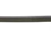 Ремень генератора Audi A4/A6 1.6-2.0 00-08 Contitech 6PK1570 (фото 2)