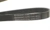 Ремень генератора Audi A4/A6 1.6-2.0 00-08 Contitech 6PK1570 (фото 4)